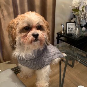 Meet your Posher, Ellen